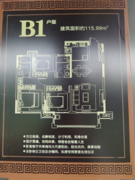 皇家蘭台3室2厅1厨1卫建面115.99㎡