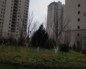 豪布斯卡璟园三室两卫毛坯房诚意出售