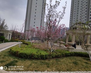 西客站豪布斯卡通透可按揭商圈成熟