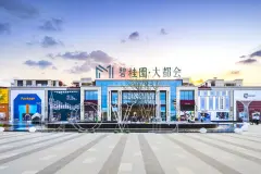 耒阳碧桂园大都会