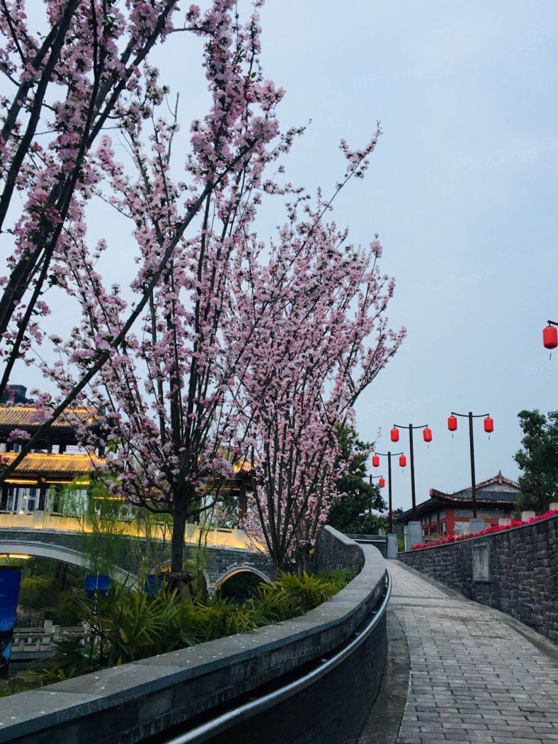 世纪金马旺龙湖·揽景