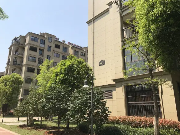巨龙·紫金玉澜