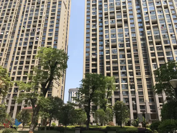巨龙·紫金玉澜