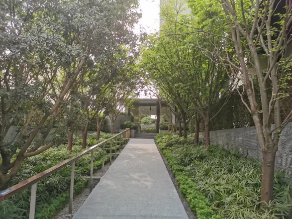 桂语九里实景图