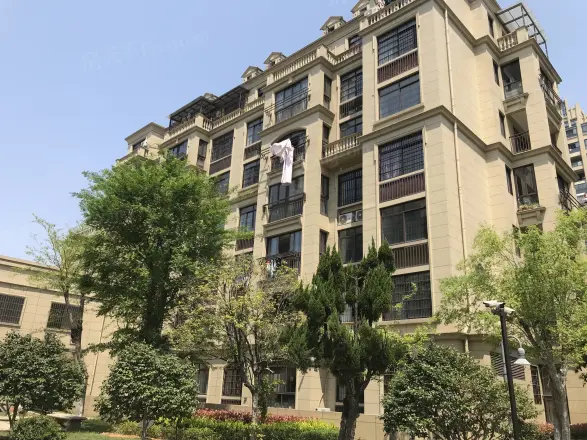 巨龙·紫金玉澜