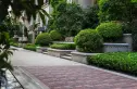 恒大御龙天峰实景图