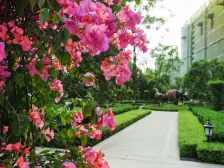 北滨路 恒大御龙天峰二房145万