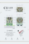 C1联排别墅户型