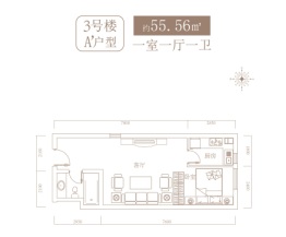 青年城未来御1室1厅1厨1卫建面55.56㎡