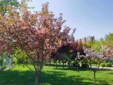 店长 优质 精装修 好楼层 车位 视野开阔 采光无遮挡