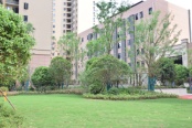 金港尚城小区内绿化实景图