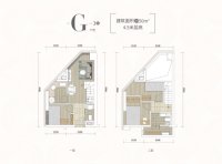 3栋建面50平G户型