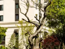 尚海湾豪庭三期一线江景次新房,平面景观入户门大客厅