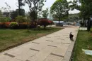 新景·未来城（长沙南）实景图