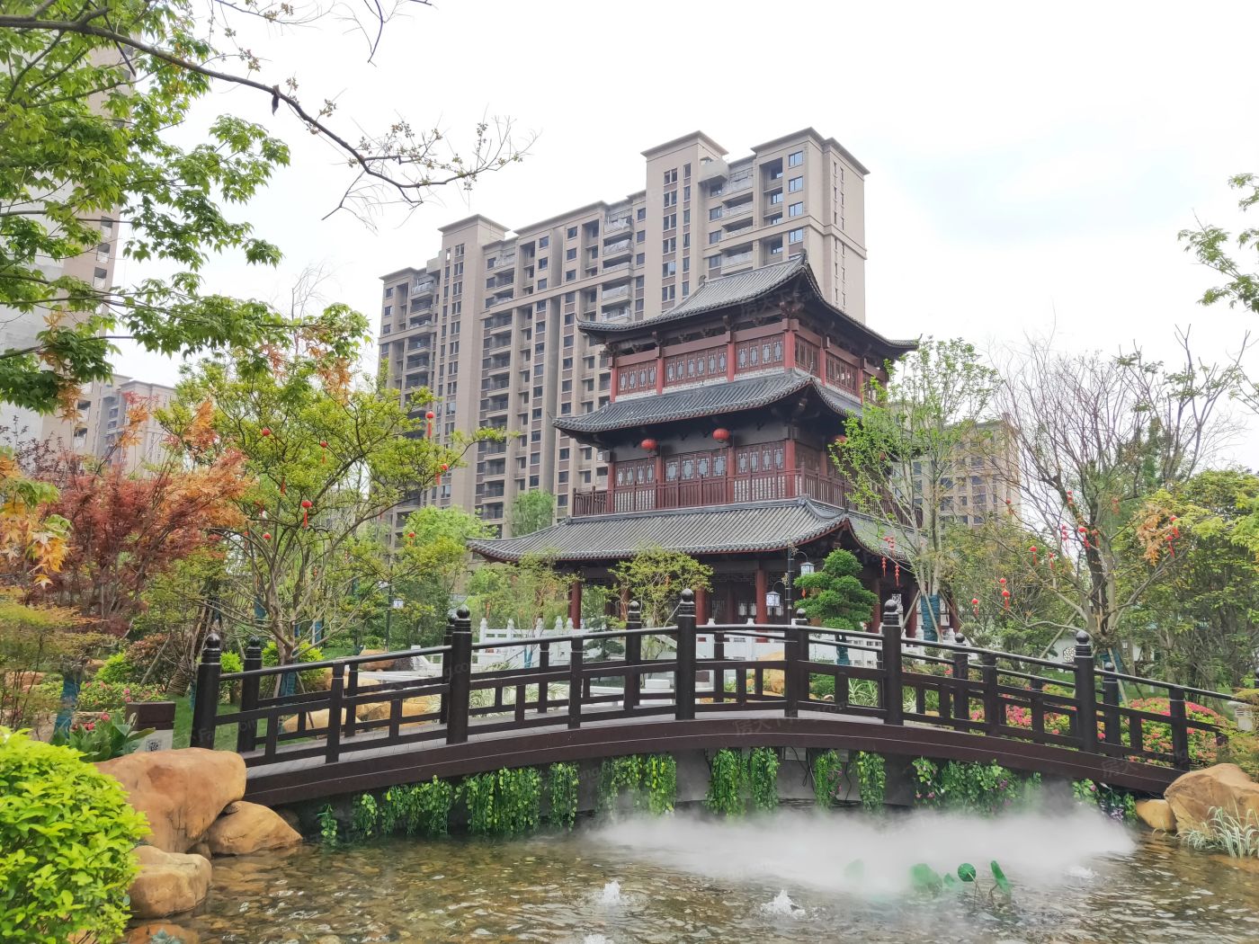 金东陶子湖图片