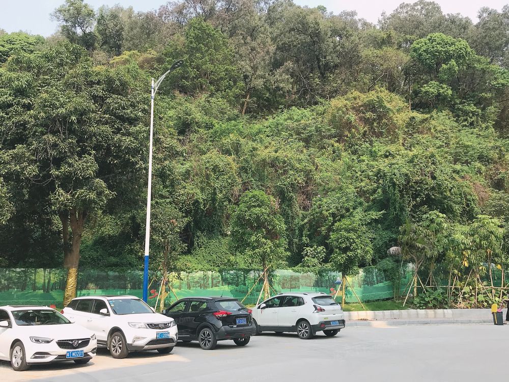 小区相关图