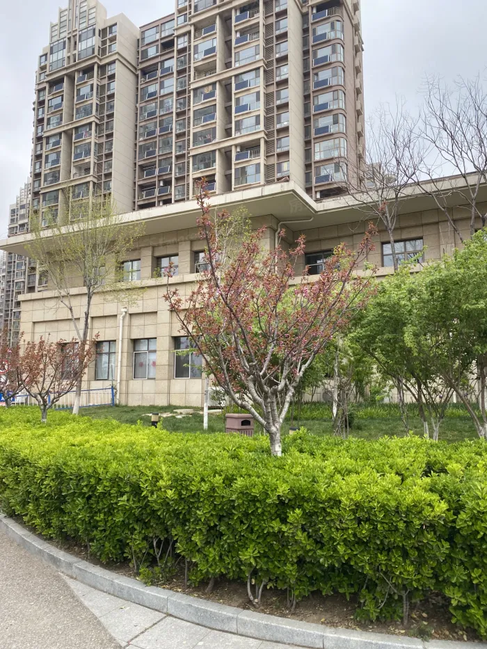 【烟台金桥澎湖湾小区,二手房,租房】- 烟台房天下