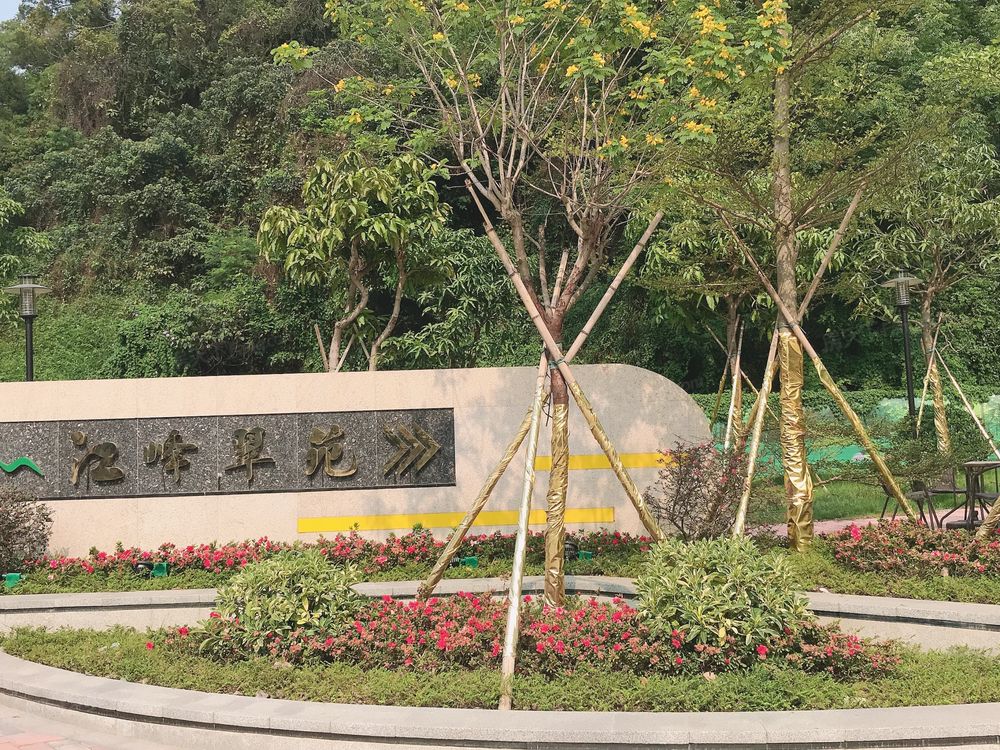 小区相关图