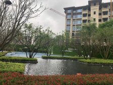 户型方正南北对流 采光充足 户型方正 7米大阳台