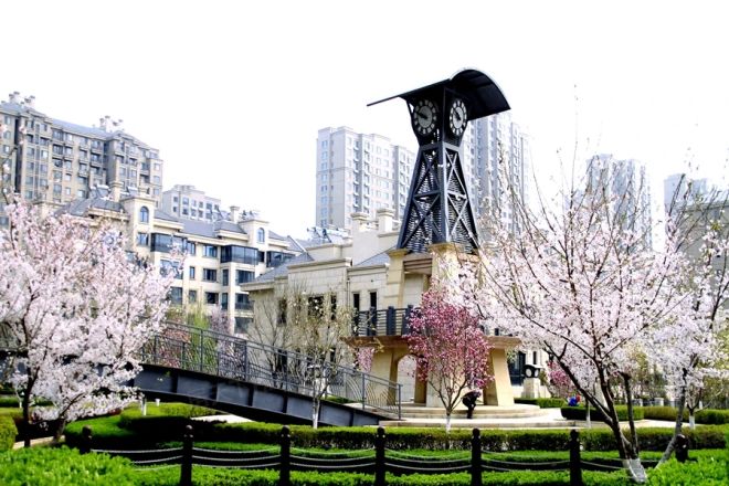 棠悦实景图