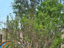 旭辉江山墅 4室2厅 北 南