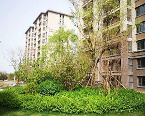 荣盛阿尔卡迪亚永清花语城3室2厅南北
