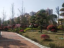 维多利亚港湾 4室1厅 南