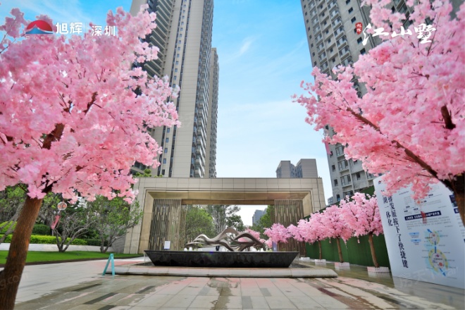旭辉江山墅实景图
