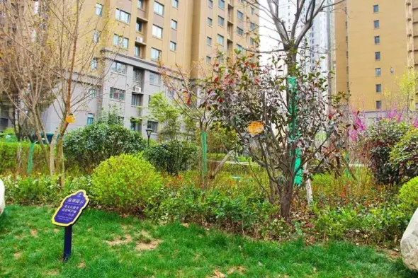 天地源·九悦香都实景图