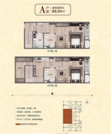 雷迪森公馆2室1厅2厨2卫建面65.00㎡