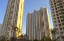 金水河畔实景图