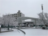 园林示范区-雪景实景图