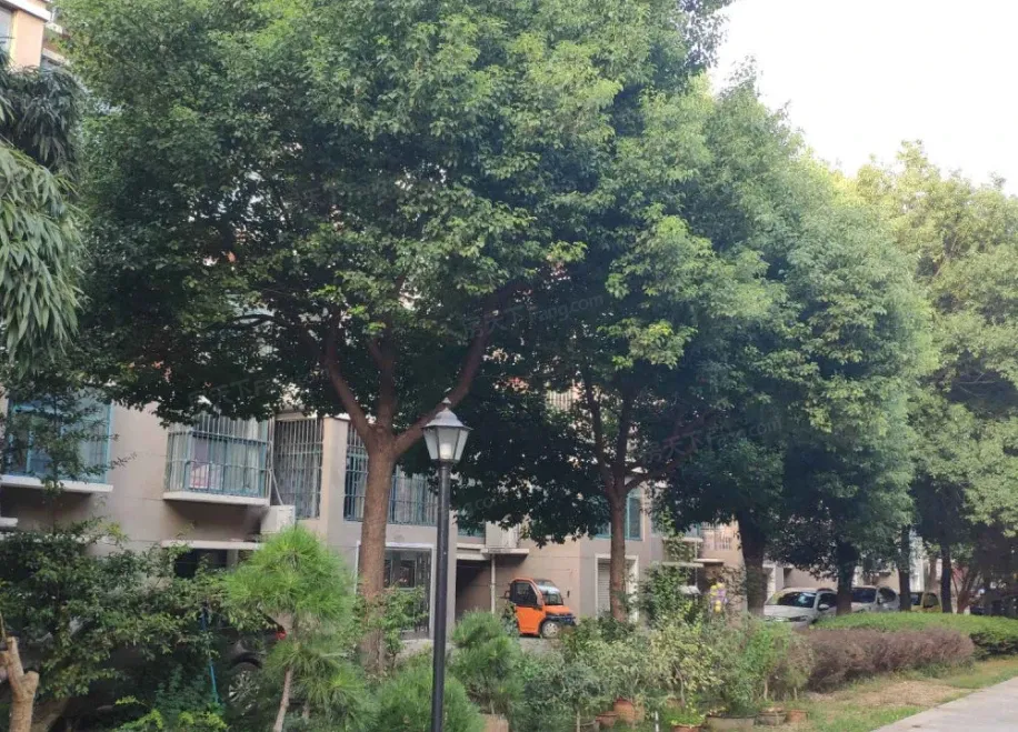 莱茵名郡图片相册,户型图,样板间图,装修效果图,实景图-新沂房天下