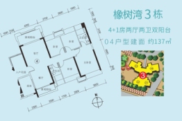 台山海骏达花园4室2厅1厨2卫建面137.00㎡