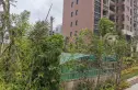 盛安·时尚家实景图