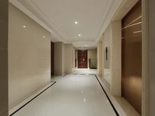 新湖品牌,九龙湖旁,石材干挂,好房,速来。