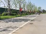 售楼处停车场
