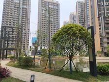 新景未来城国企大盘业主诚售价格可面议