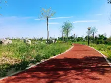 品质小区 联排别墅 诚心出售 价格可谈