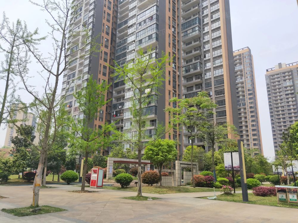小区相关图