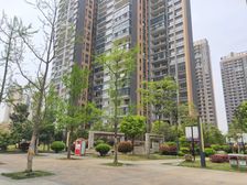 小区人车分流.中间楼层.通风采光好
