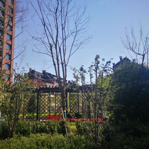  ���⡤���߼ҡ���乫԰��1�� 