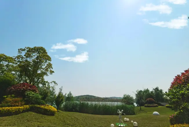 龙山湖花园墅