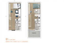 力高·凤凰新天2室2厅1厨2卫建面40.76㎡