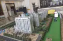 金庆桂花园实景图