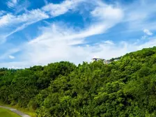 远洋高尔夫旁 纯别墅小区 清水上叠 视野开阔