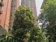 尊德天城小区4室2厅南北