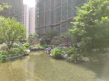 房子户型方正,视野开阔采光明亮,小区环境优美!
