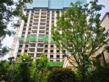 碧桂园双湖城北院 4室2厅 南