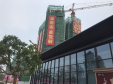 大开发商 精装3房2卫,户型方正,大景观阳台视野开阔